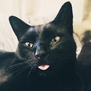 Meet your Posher, Kacy